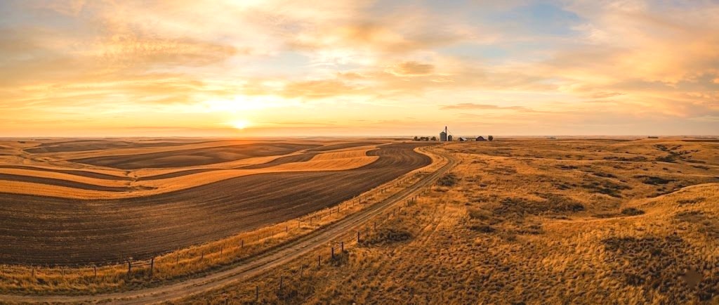Cropland meeting open rangeland at golden hour